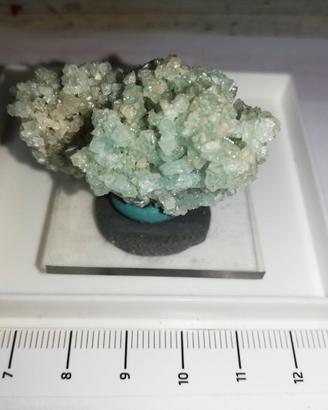 Minerale da collezione: rarissima Boracite