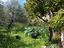 Immagine 13