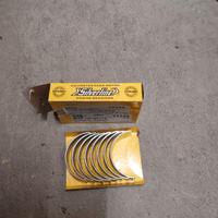 Bronzine biella Maggiolino