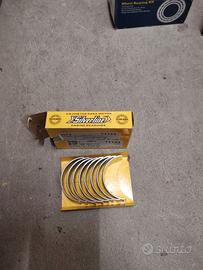 Bronzine biella Maggiolino