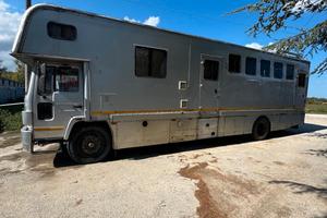 van trasporto cavalli con living uso speciale