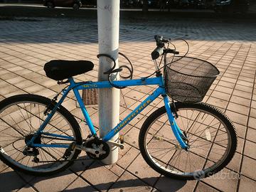 Mountain bike azzurra perfetta 