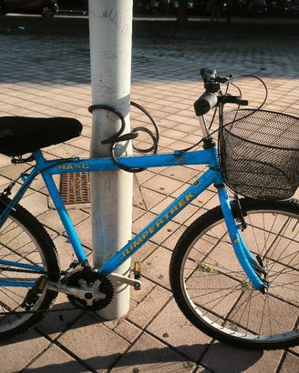 Mountain bike azzurra perfetta 