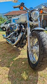 harley davison sportster 1200 XL Custom