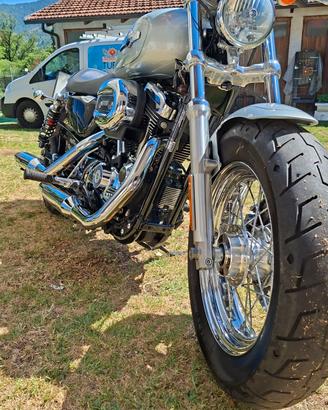 harley davison sportster 1200 XL Custom