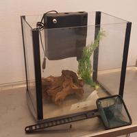 acquario cubo cubino 