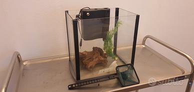 acquario cubo cubino 