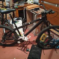 cannondale Chase cruiser