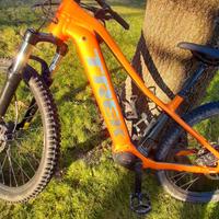 Bicicletta elettrica marca TREK