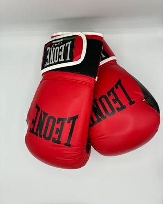 Guantoni Boxe Leone Flash 10 OZ pari al nuovo