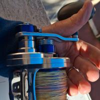 SALTIGA DAIWA LD 40