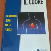 Il cuore