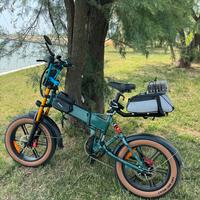 E bike FIIDO M1 pro