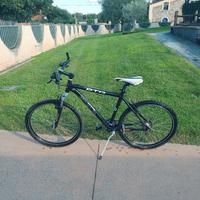 MTB Daytona Black Panter 