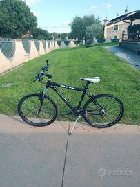 MTB Daytona Black Panter 