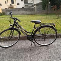 Bicicletta donna con portapacchi e luci
