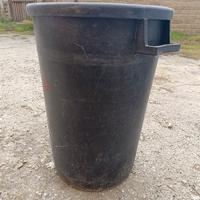 bigoncio racconta uva