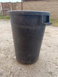 bigoncio racconta uva