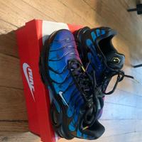 Nike Air Max Plus TN 25th anniversary EU44