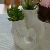 Portapiantine/ vasetto