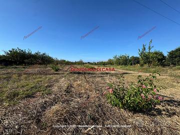 Terreno, Campofelice di Roccella.