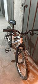 biciclette bambino