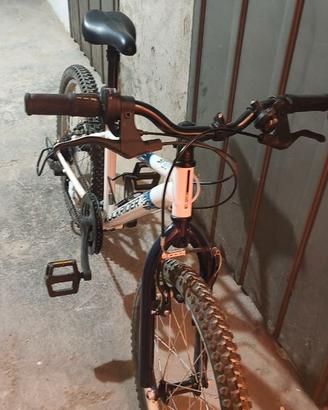 biciclette bambino