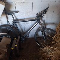 bicicletta da uomo
