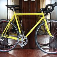 Moser leader AX tg. 55 acciaio - Campagnolo Athena