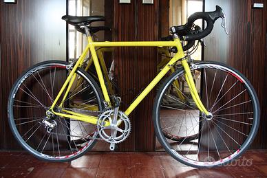 Moser leader AX tg. 55 acciaio - Campagnolo Athena