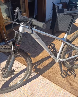 Canyon 29 M