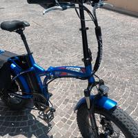 Fat bike