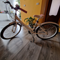 Bicicletta Silver Star