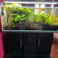 Acquario 200 litri completo di tutto