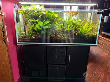 Acquario 200 litri completo di tutto