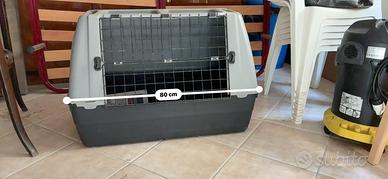 Kennel cane media taglia