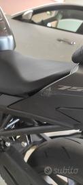 Hornet 750 incidentata