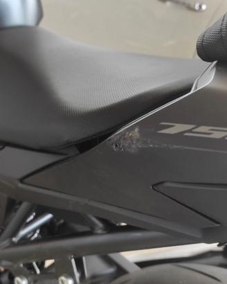 Hornet 750 incidentata