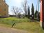 Immagine 11