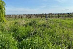 Terreno di 16000 m² a Castelfranco Emilia