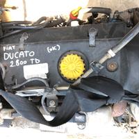 Motore Fiat Ducato 2.8JTD dal 2001 al 2006 814043S