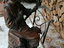Immagine 4