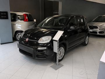 Fiat pandina icon