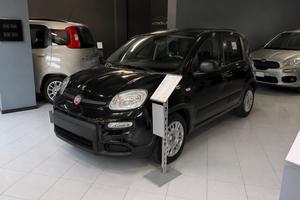 Fiat pandina icon