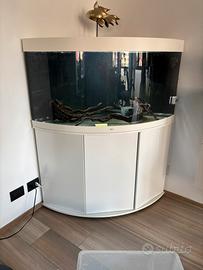 Acquario