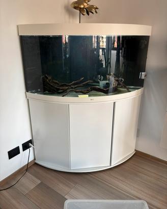 Acquario