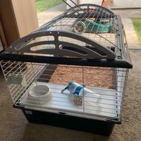 Gabbia per coniglietti