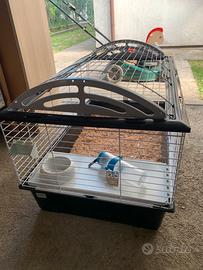 Gabbia per coniglietti