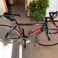 Bici da corsa Merida Scultura 907 Carbonio