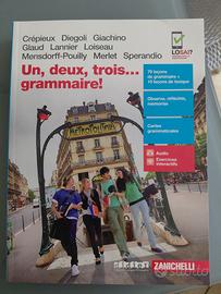 libro di grammatica francese 